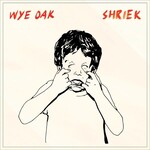 Wye Oak - Shriek [USED CD]