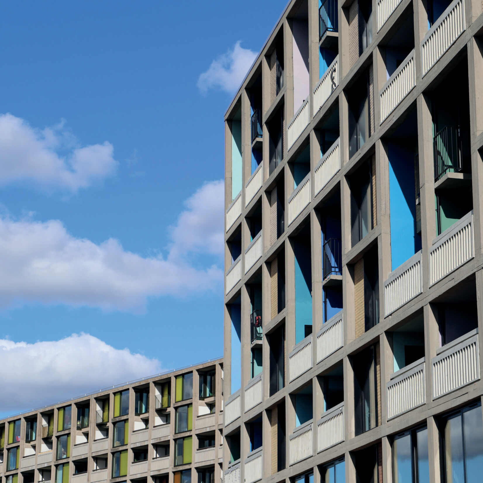 Wedding Present - 24 Songs [3LP/DVD]