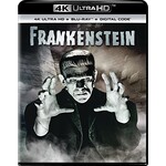 Frankenstein (1931) [4K/BRD]