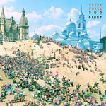 Fleet Foxes - Sun Giant EP [USED CD]