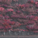 Sleep Token - Even In Arcadia [USED CD]