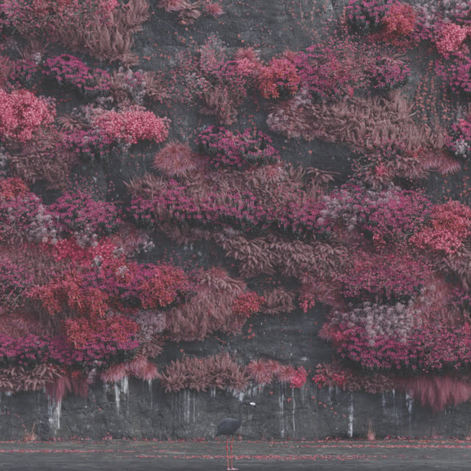 Sleep Token - Even In Arcadia [USED CD]