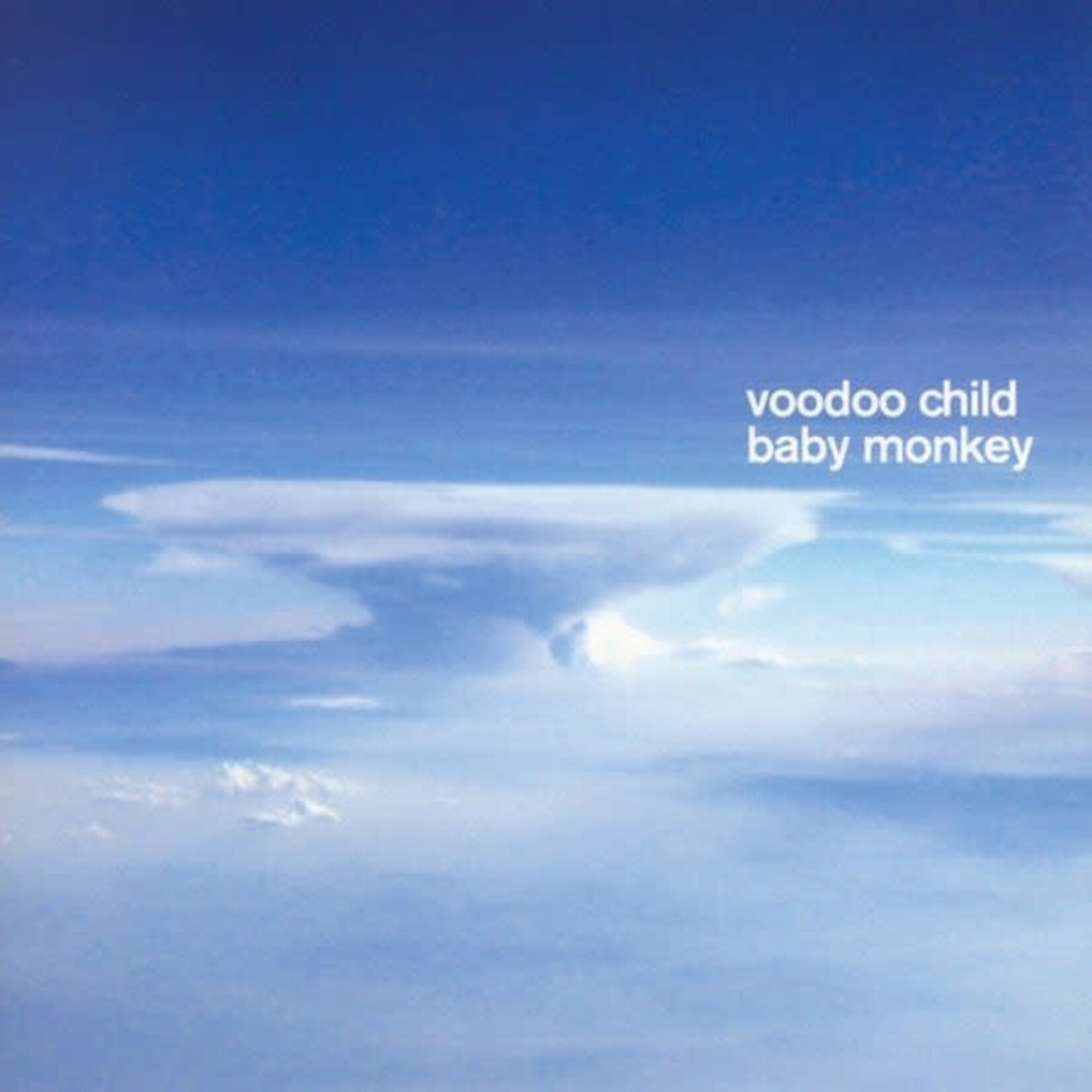 Voodoo Child - Baby Monkey [USED CD]