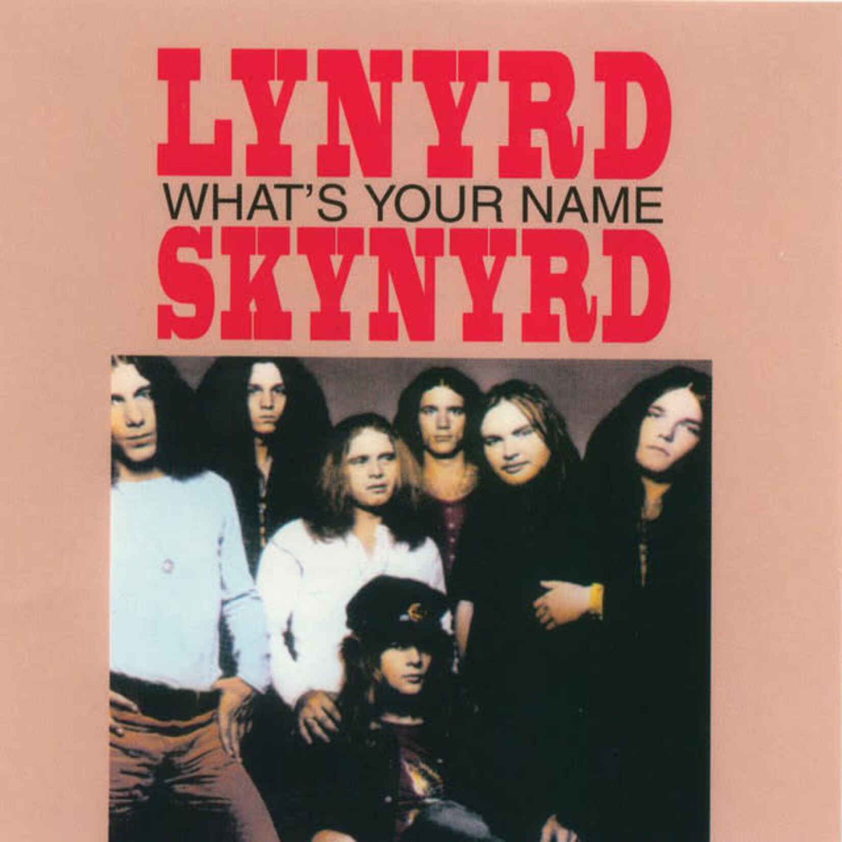 Lynyrd Skynyrd - What's Your Name [USED CD]