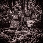 Kamasi Washington - Harmony Of Difference [USED CD]