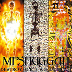 Meshuggah - Destroy Erase Improve [USED CD]