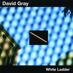 David Gray - White Ladder [USED CD]