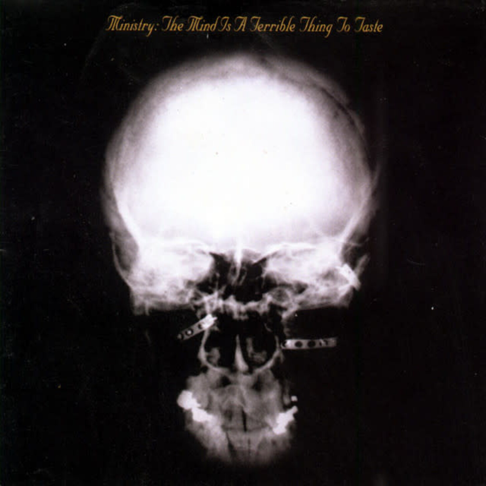 Ministry - The Mind Is A Terrible Thing To Taste [USED CD]