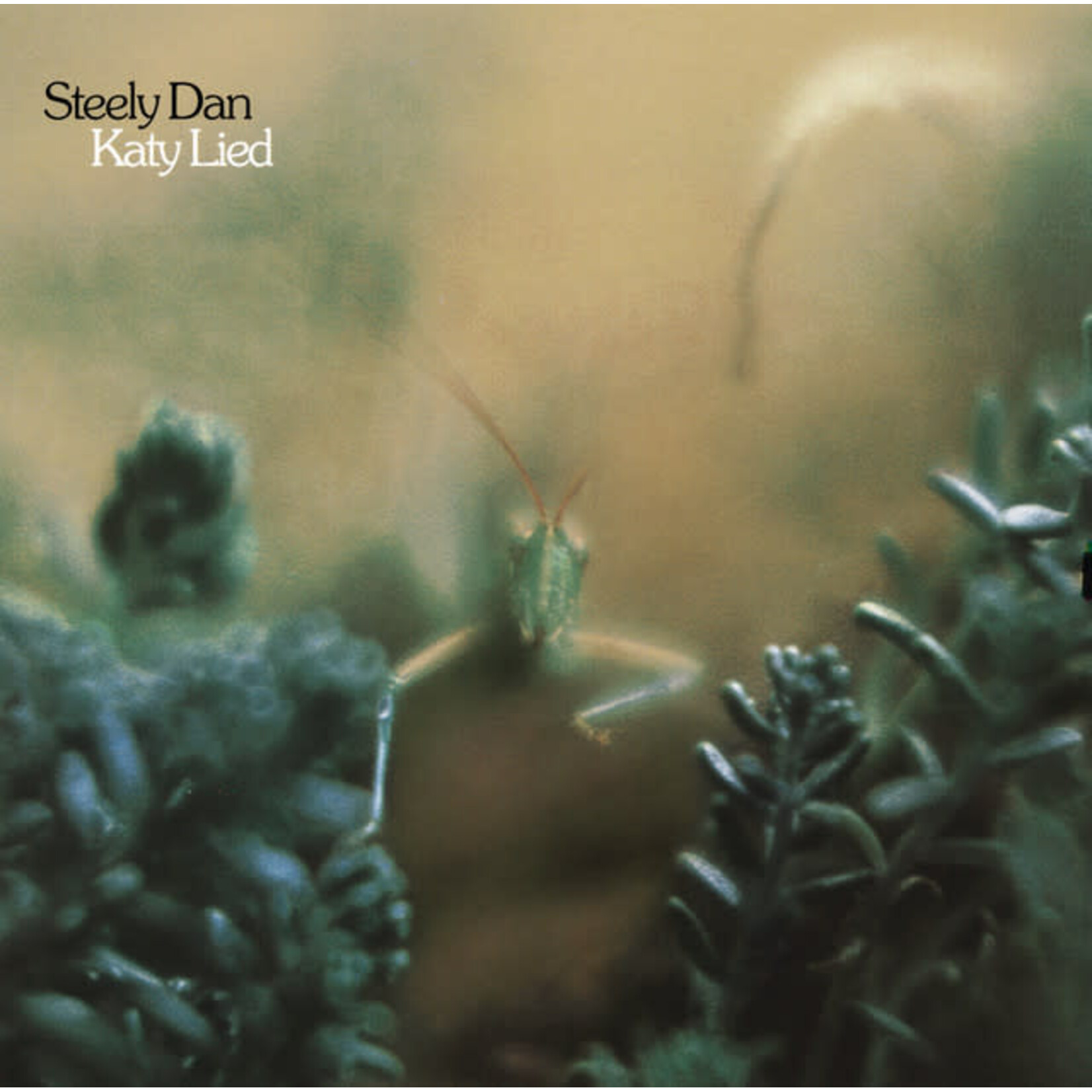 Steely Dan - Katy Lied [CD]