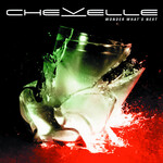 Chevelle - Wonder What's Next [USED CD]