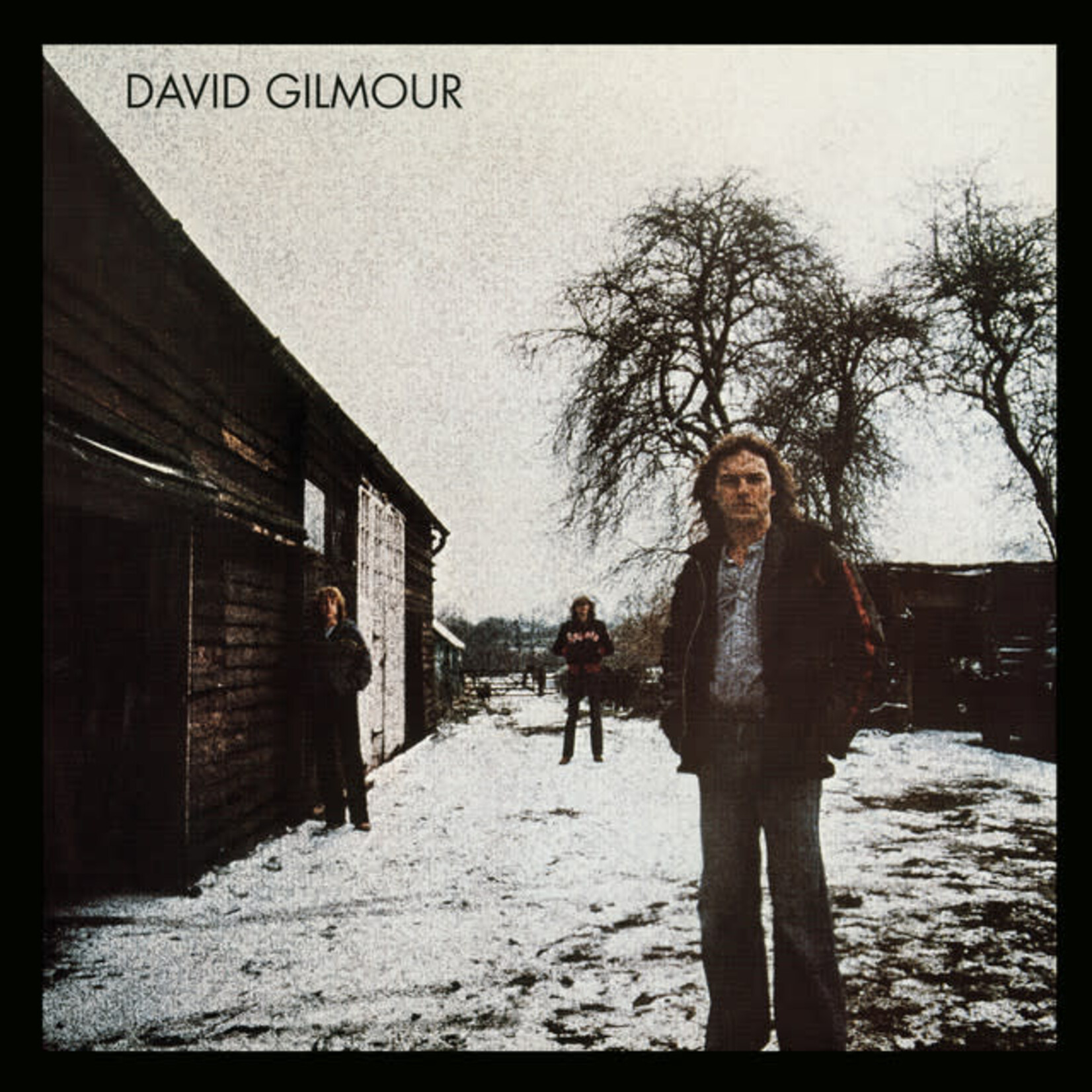 David Gilmour - David Gilmour [USED CD]