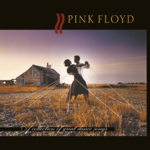 Pink Floyd - A Collection Of Great Dance Songs [USED CD]