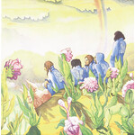 Harmonium - Les Cinq Saisons [USED CD]