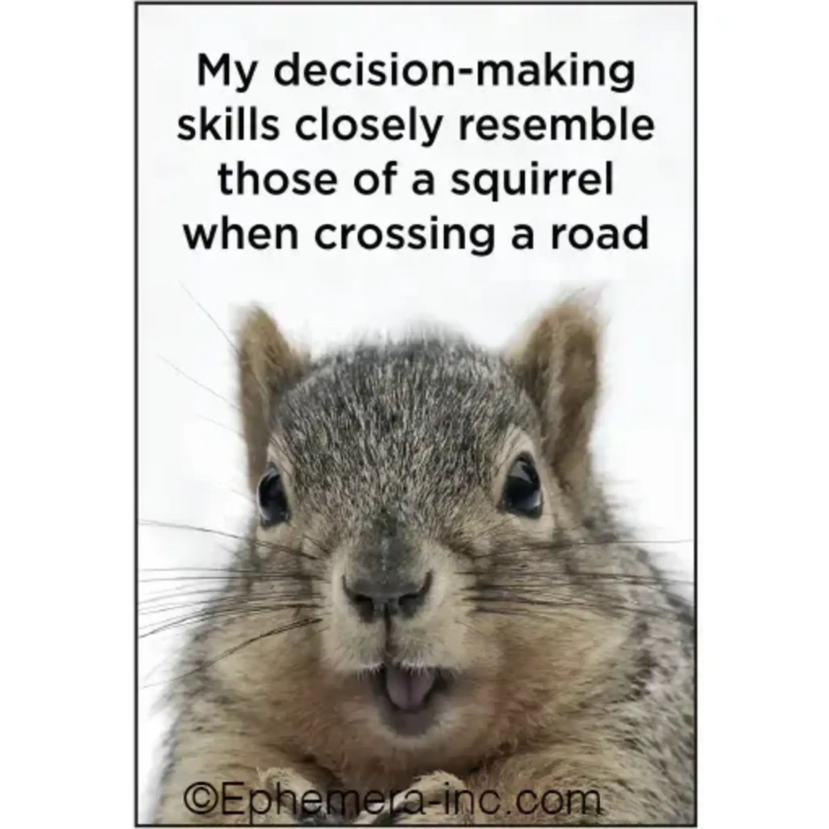Magnet - My Decision-Making Skills Closely Resemble Those Of A Squirrel When Crossing A Road