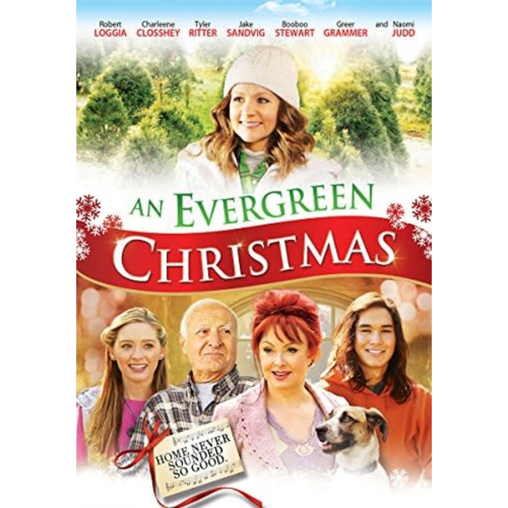 An Evergreen Christmas (2014) [USED DVD]