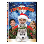 A Dog For Christmas (2015) [USED DVD]