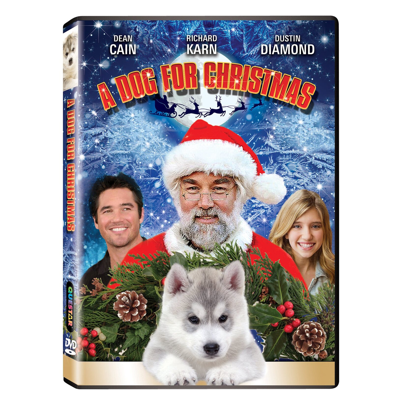 A Dog For Christmas (2015) [USED DVD]