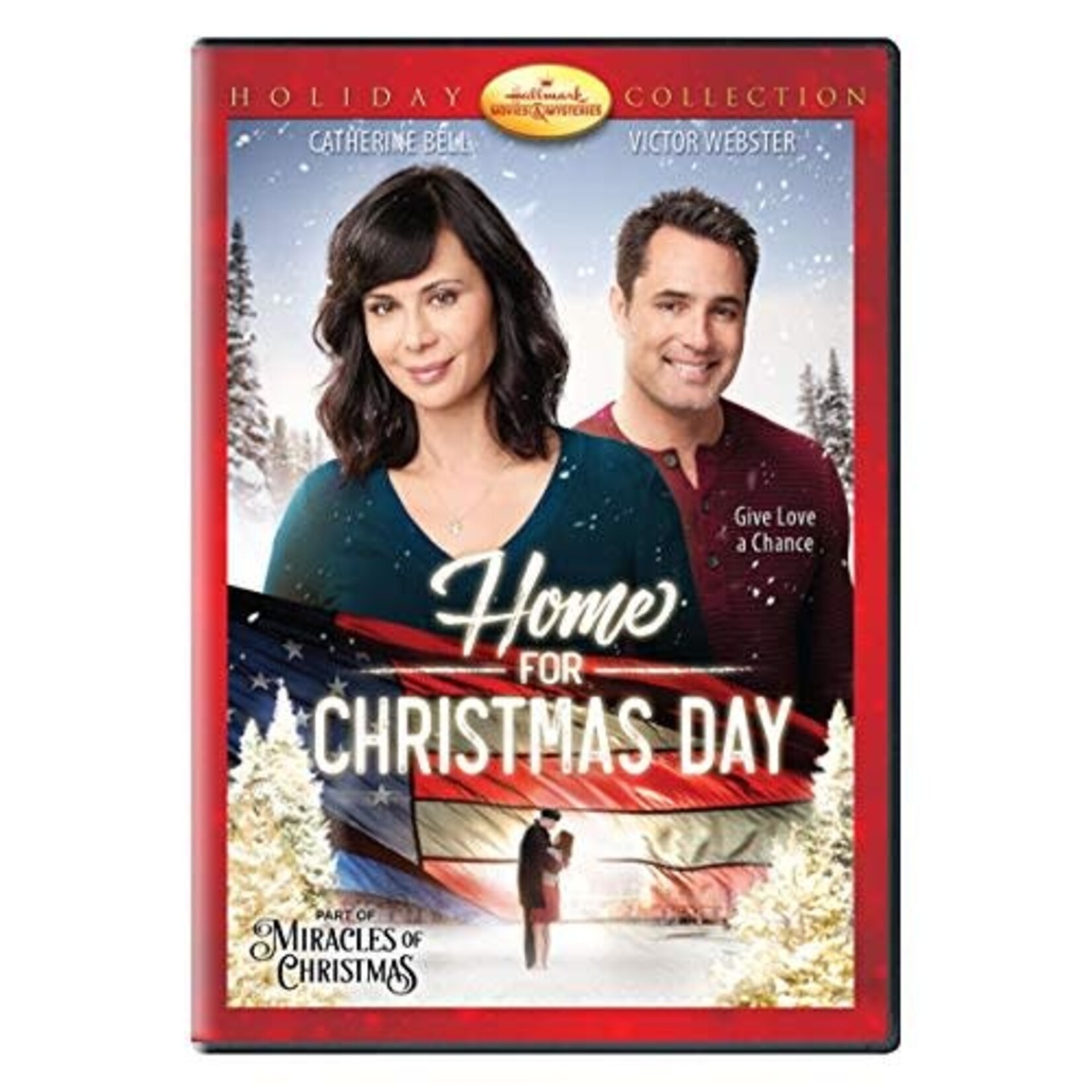 Home For Christmas Day (2017) [USED DVD]