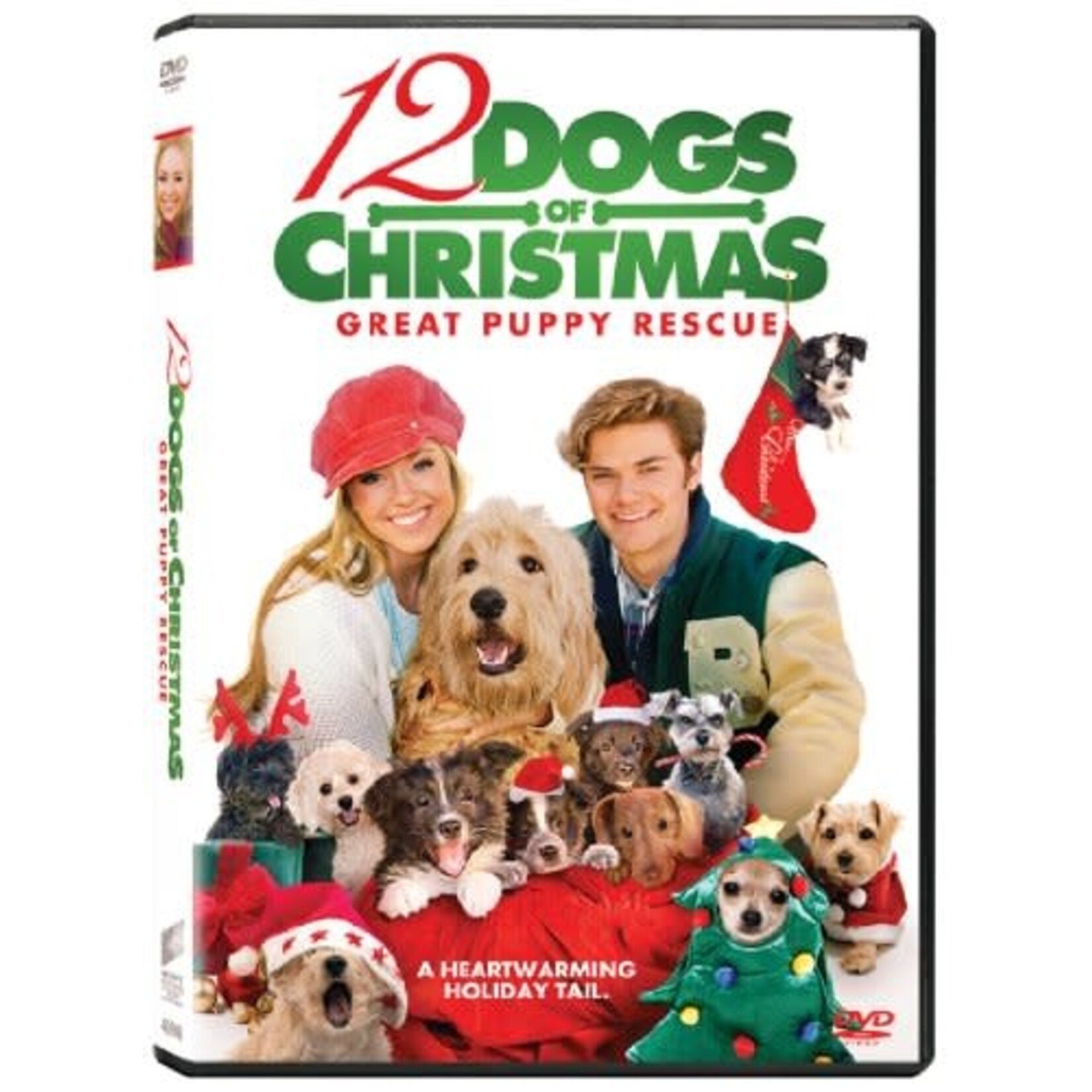 12 Dogs Of Christmas 2: Great Puppy Rescue [USED DVD]