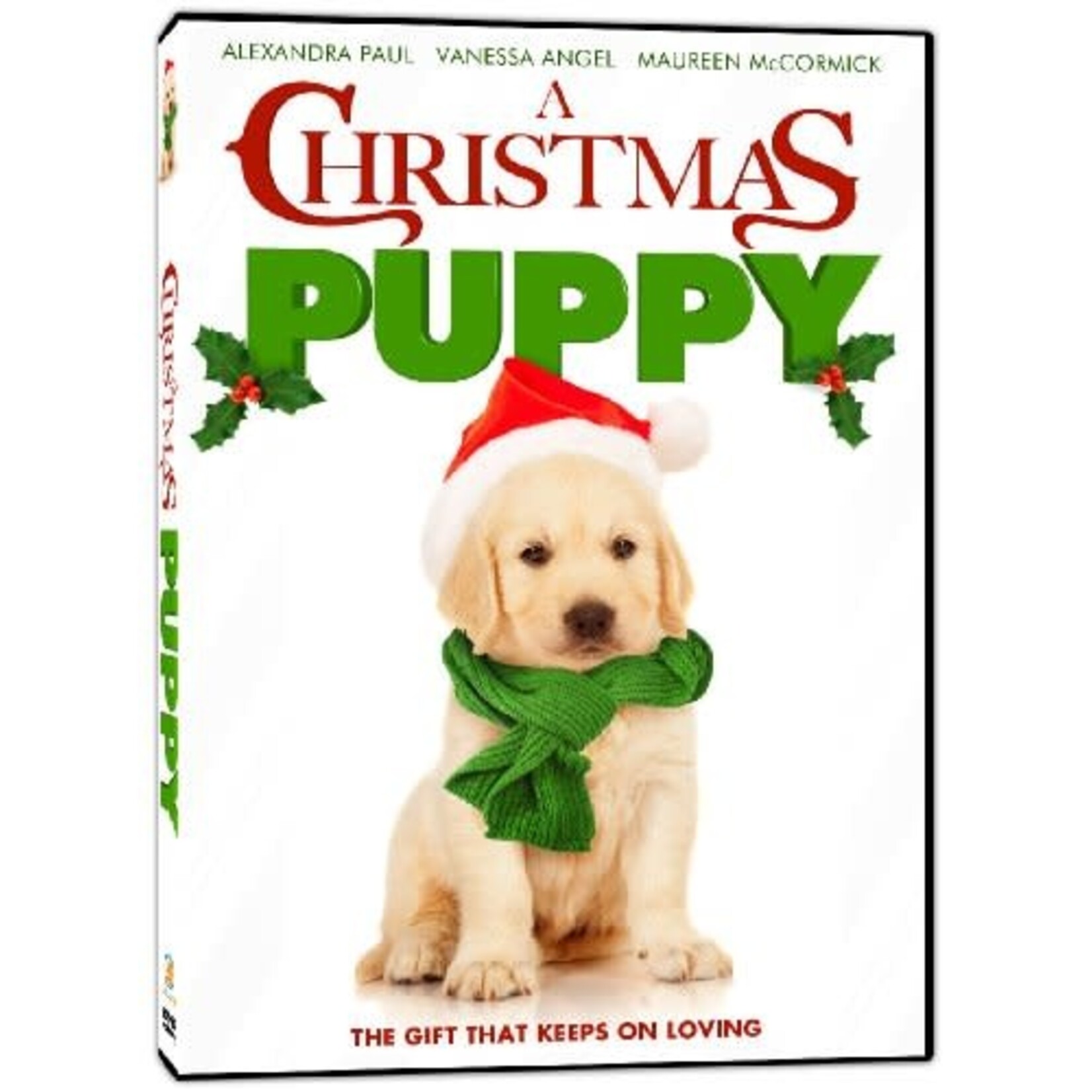 A Christmas Puppy (2012) [USED DVD]