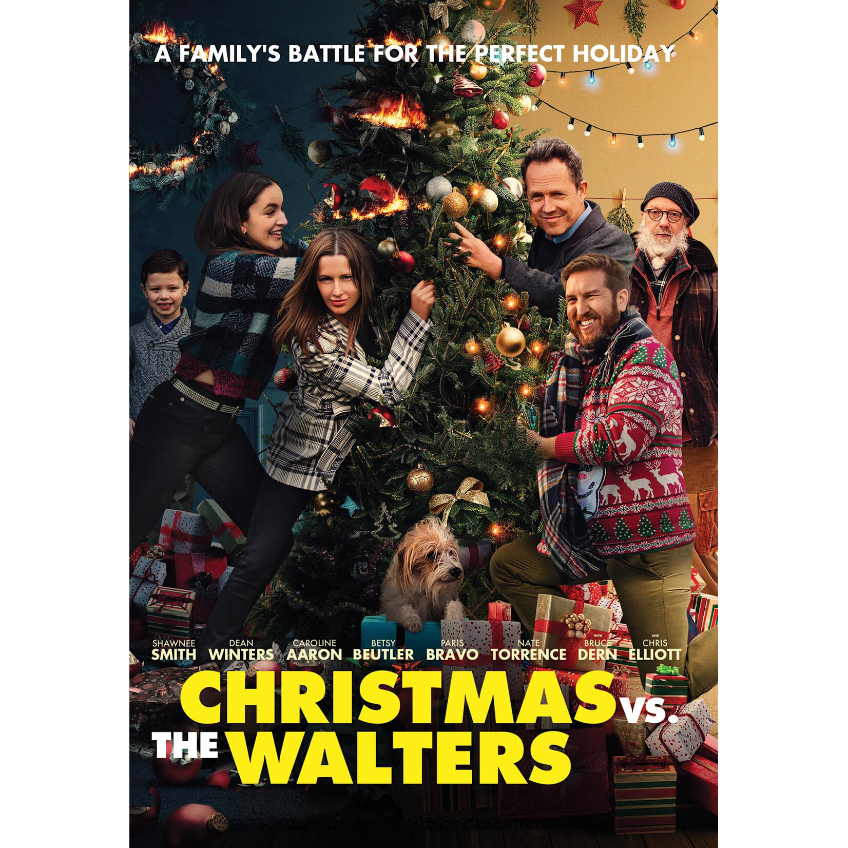 Christmas Vs. The Walters (2021) [USED DVD]