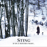 Sting - If On A Winter's Night... [USED CD]