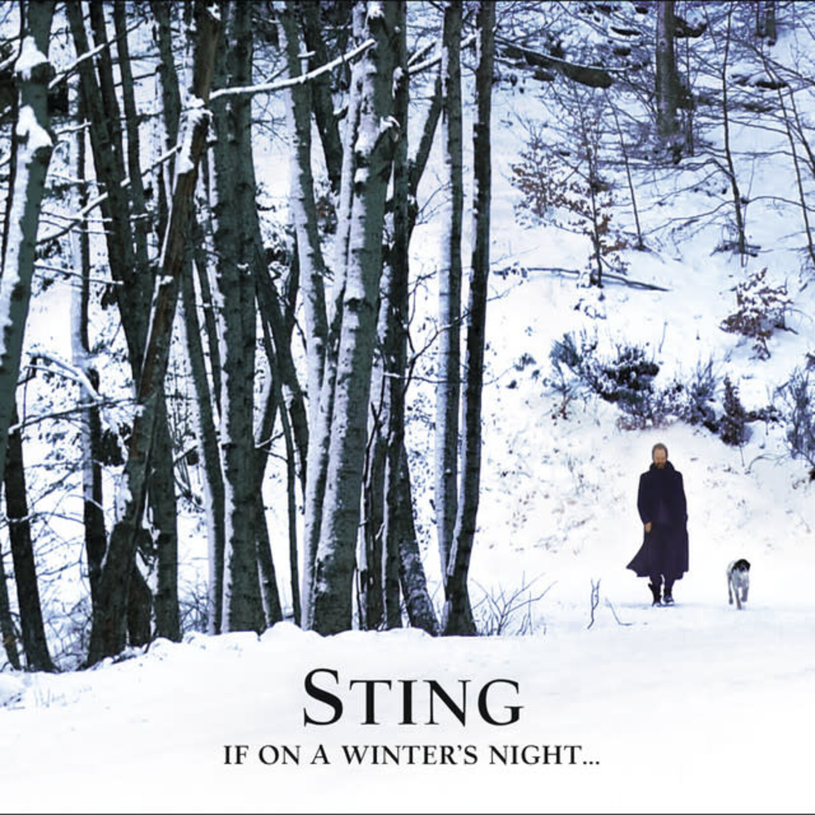 Sting - If On A Winter's Night... [USED CD]