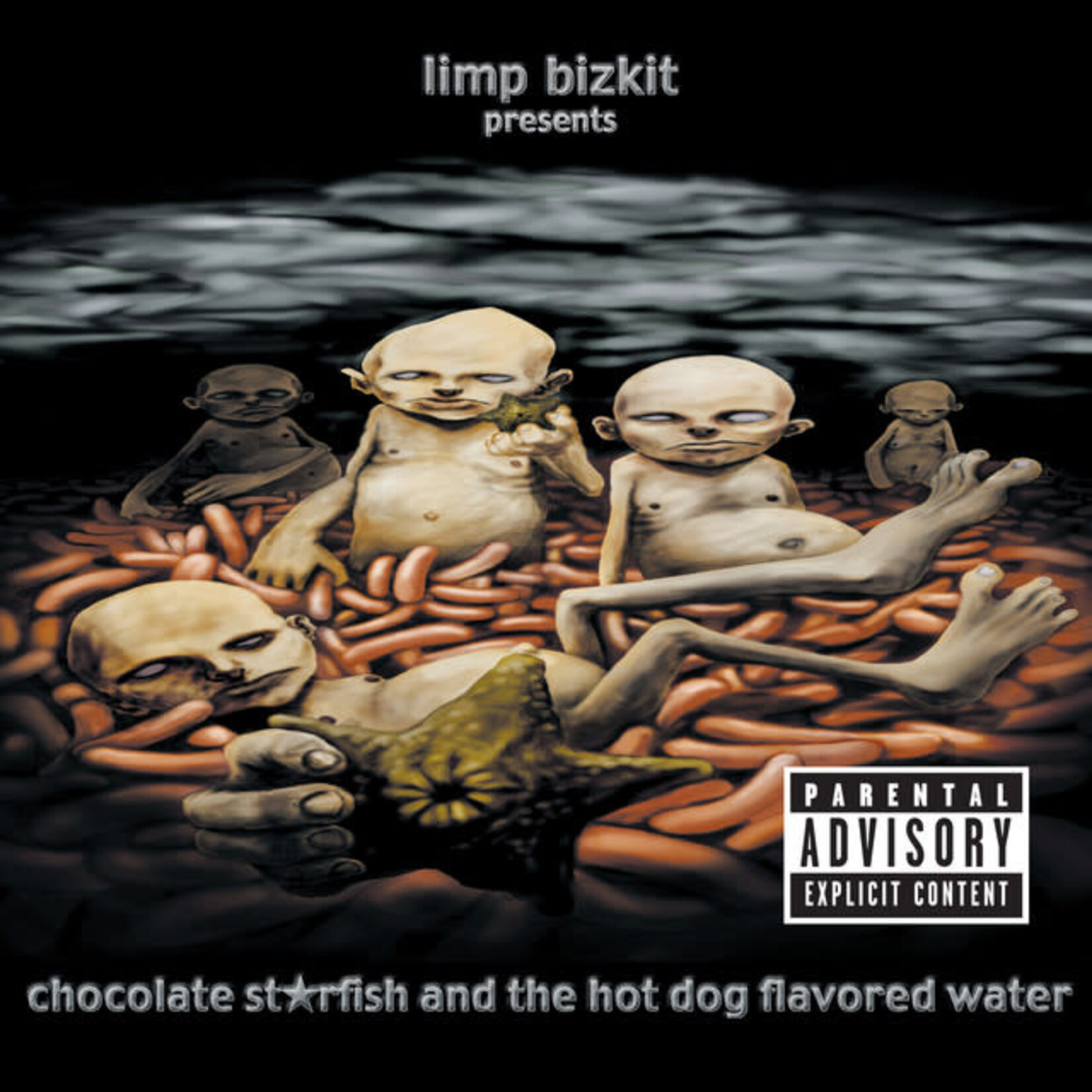 Limp Bizkit - Chocolate Starfish And The Hot Dog Flavored Water [USED CD]