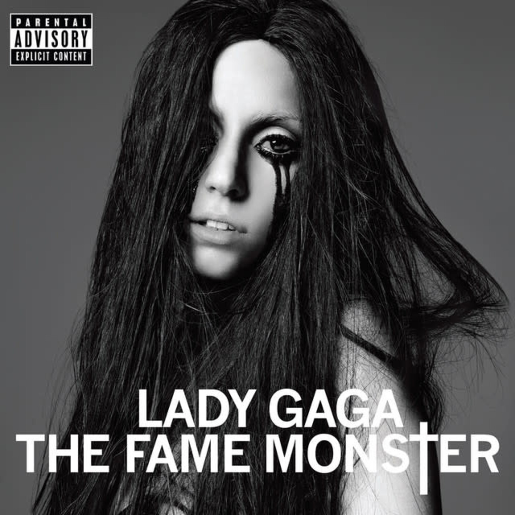 Lady Gaga - The Fame Monster [USED CD]