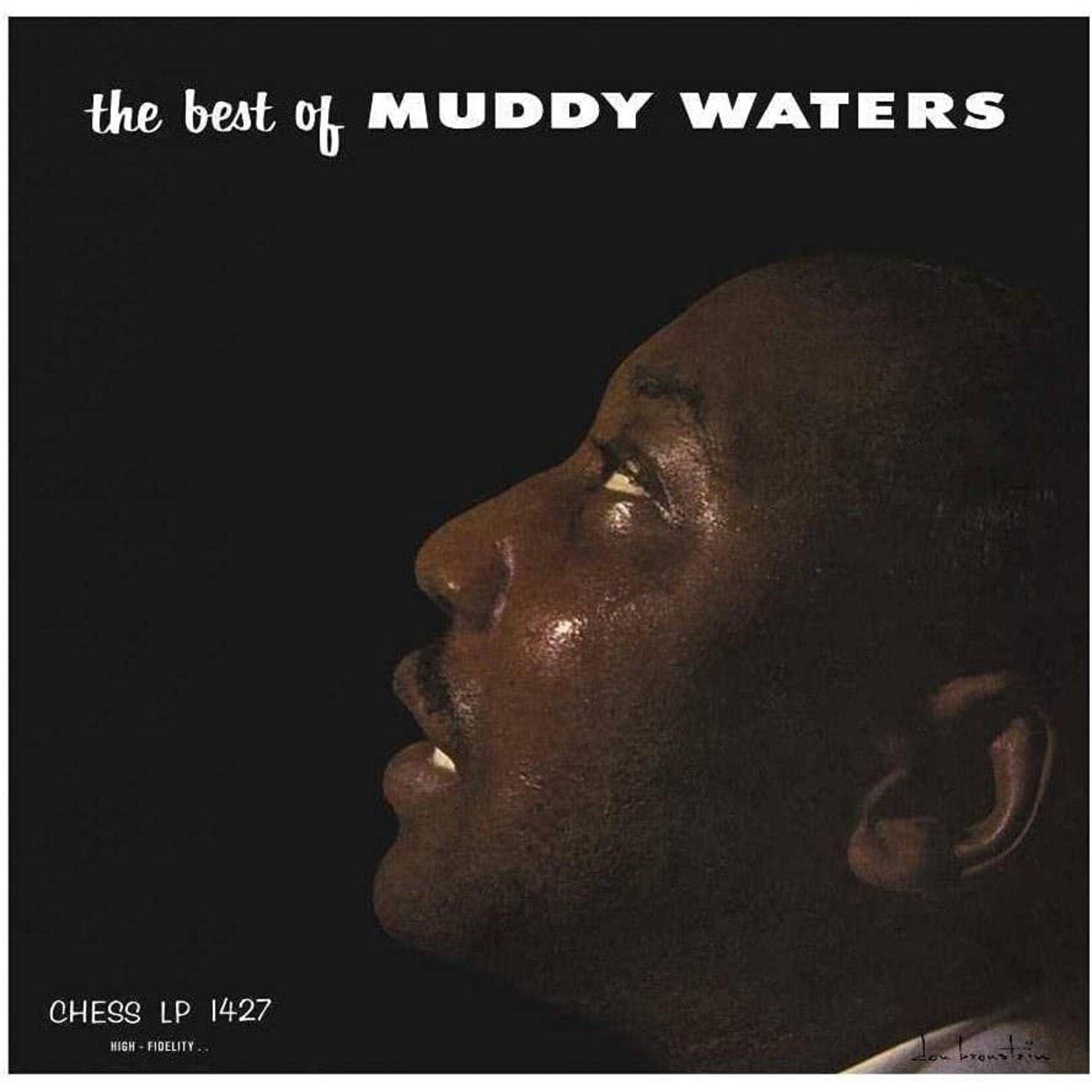Muddy Waters - The Best Of Muddy Waters [LP]