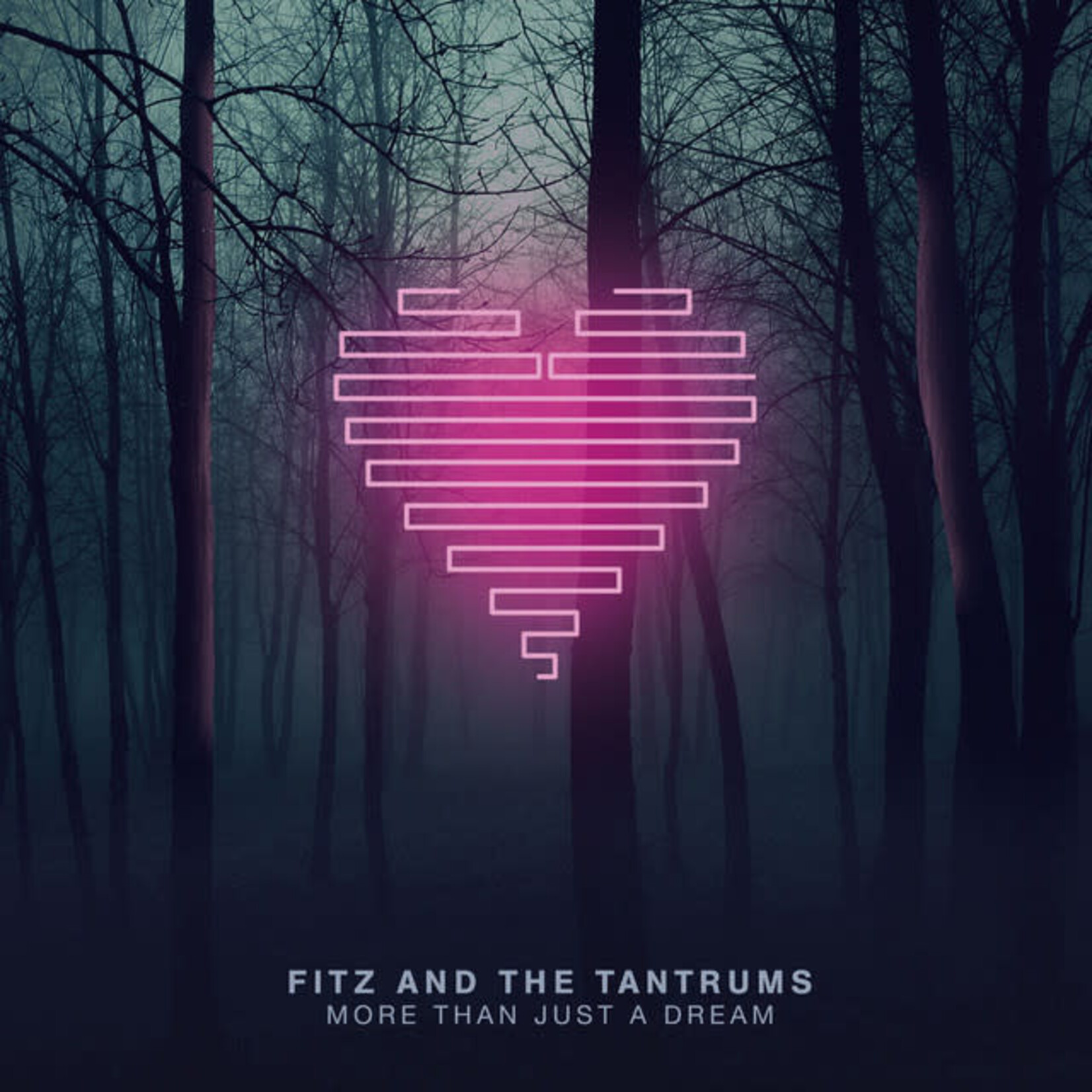 Fitz And The Tantrums - More Than Just A Dream [USED CD]