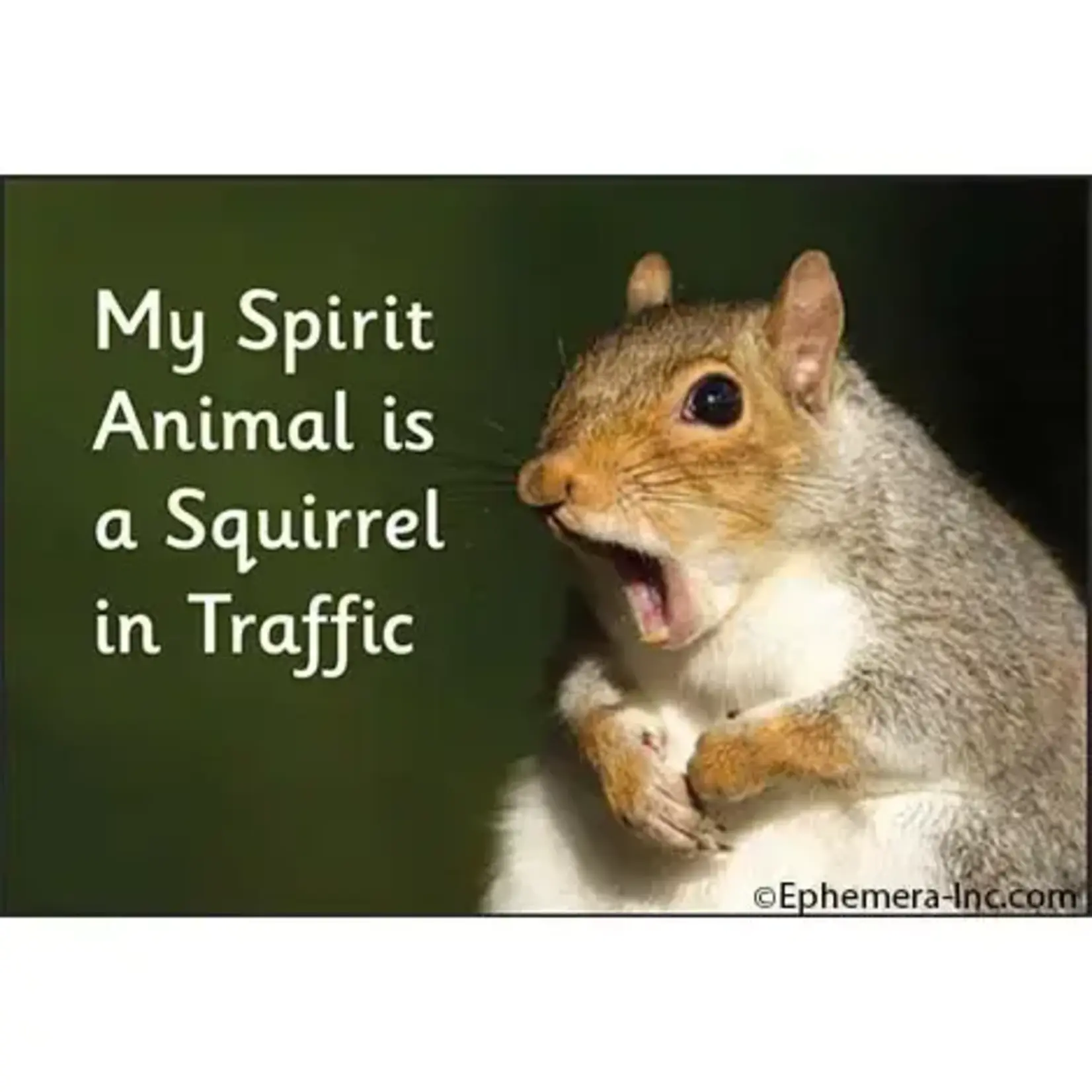 Magnet - My Spirit Animal Is A Squirrel In Traffic