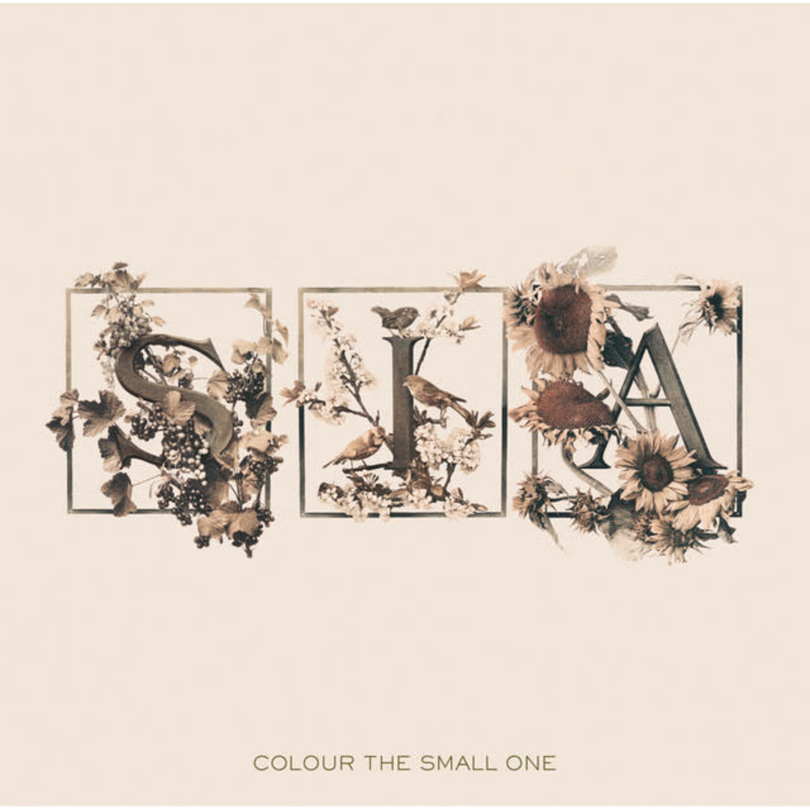 Sia - Colour The Small One [USED CD]