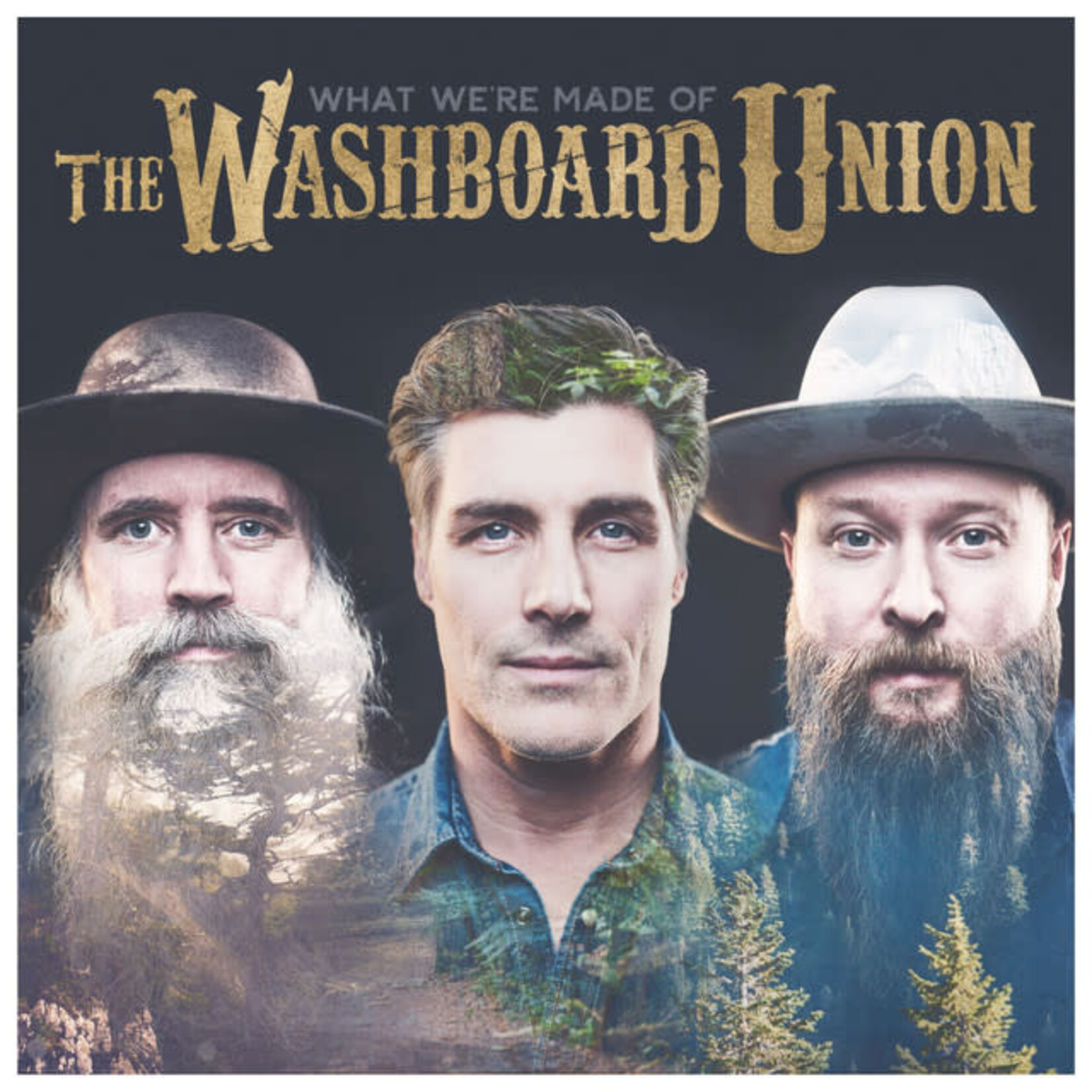 Washboard Union - What We're Made Of [USED CD]