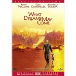 What Dreams May Come (1998) [USED DVD]