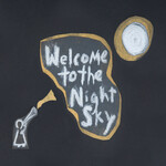 Wintersleep - Welcome To The Night Sky [USED CD]