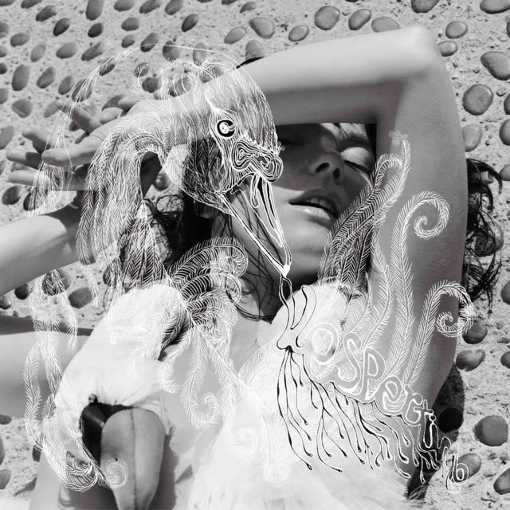 Bjork - Vespertine [USED CD]