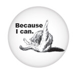 Button - Because I Can.