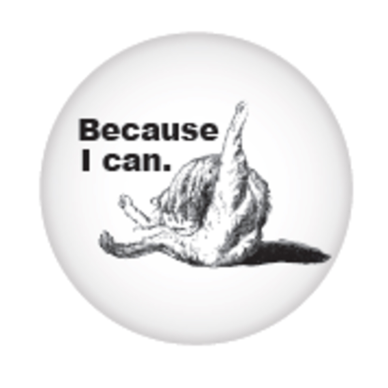 Button - Because I Can.