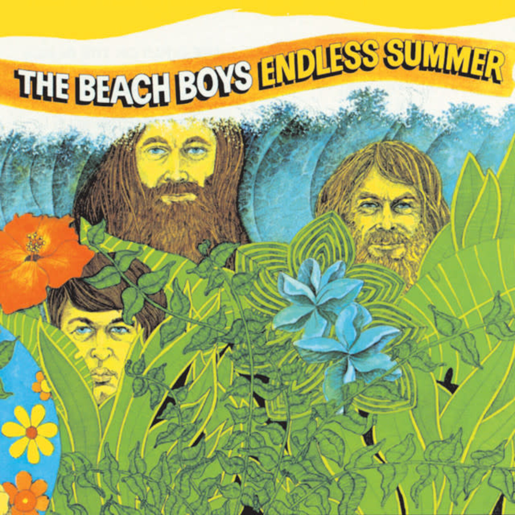 Beach Boys - Endless Summer [USED CD]