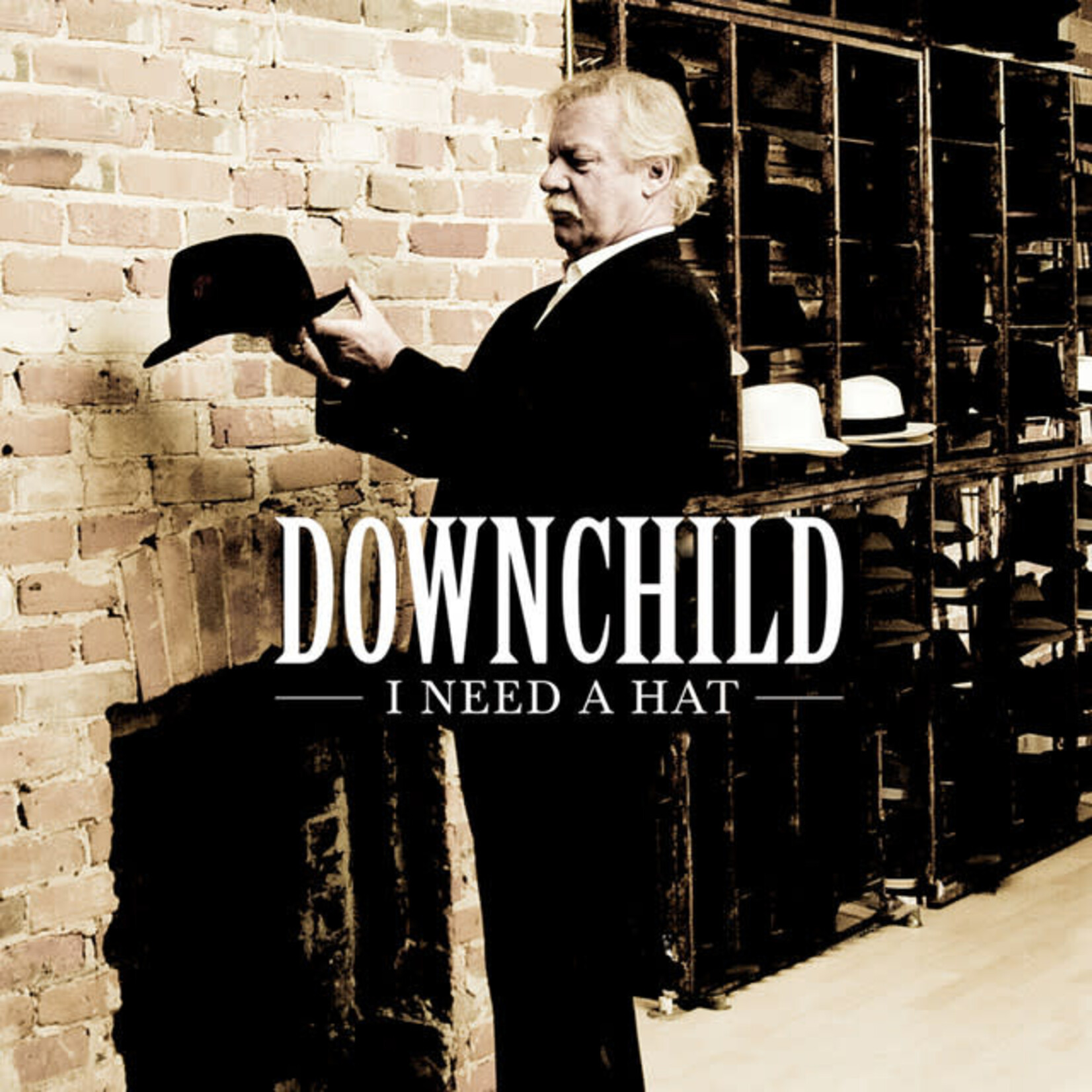 Downchild Blues Band - I Need A Hat [USED CD]