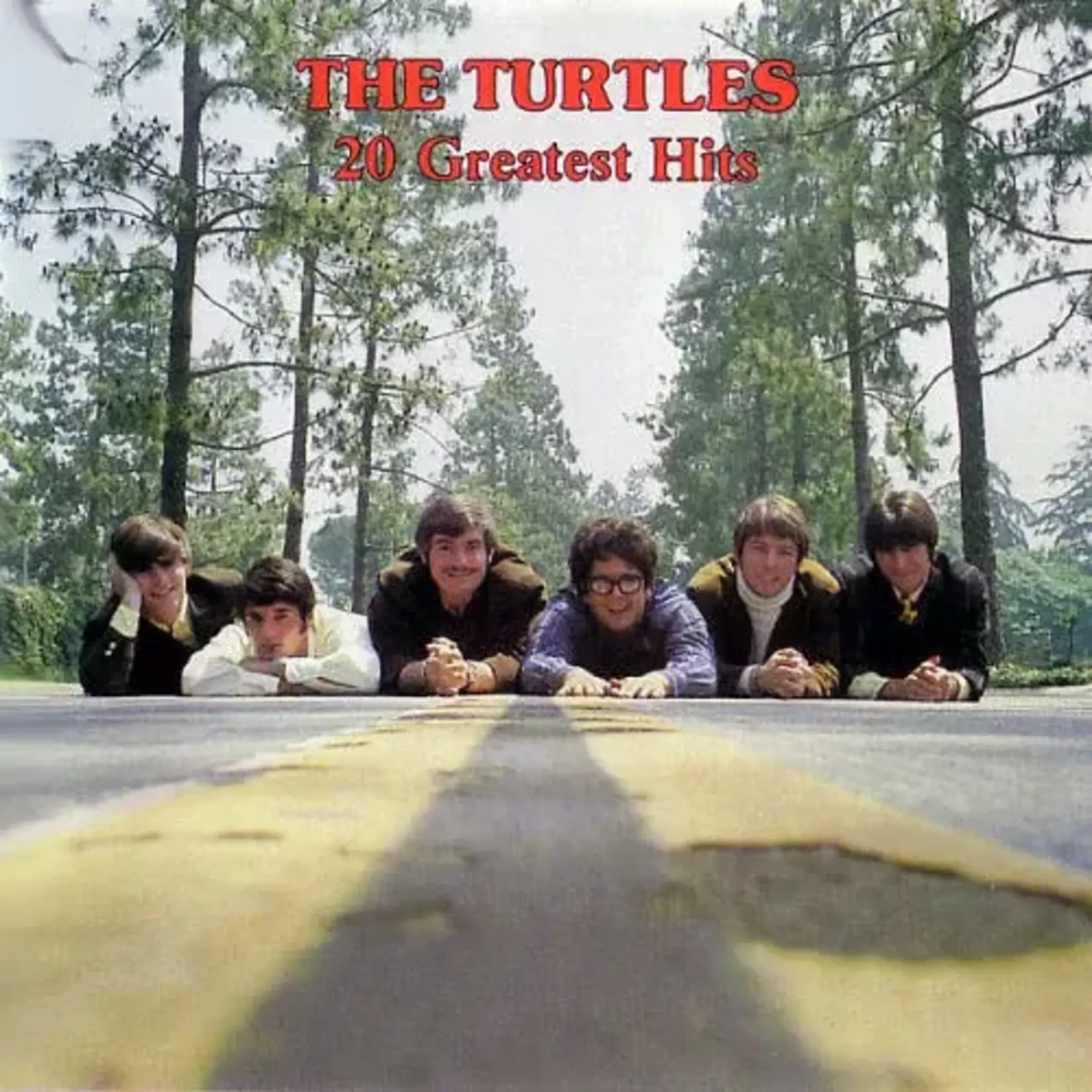 Turtles - 20 Greatest Hits [USED CD]
