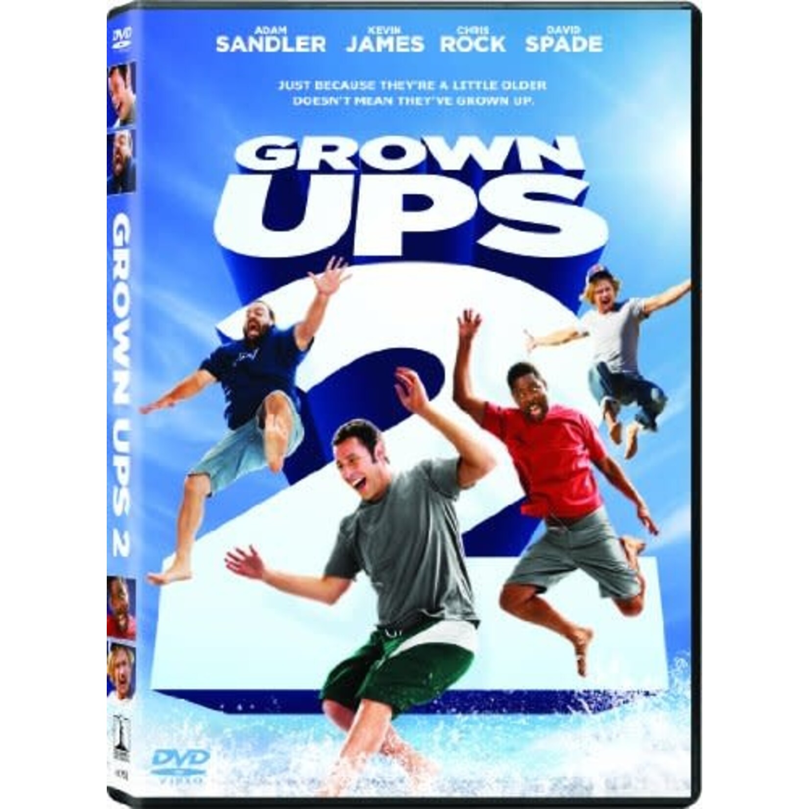 Grown Ups 2 [USED DVD]