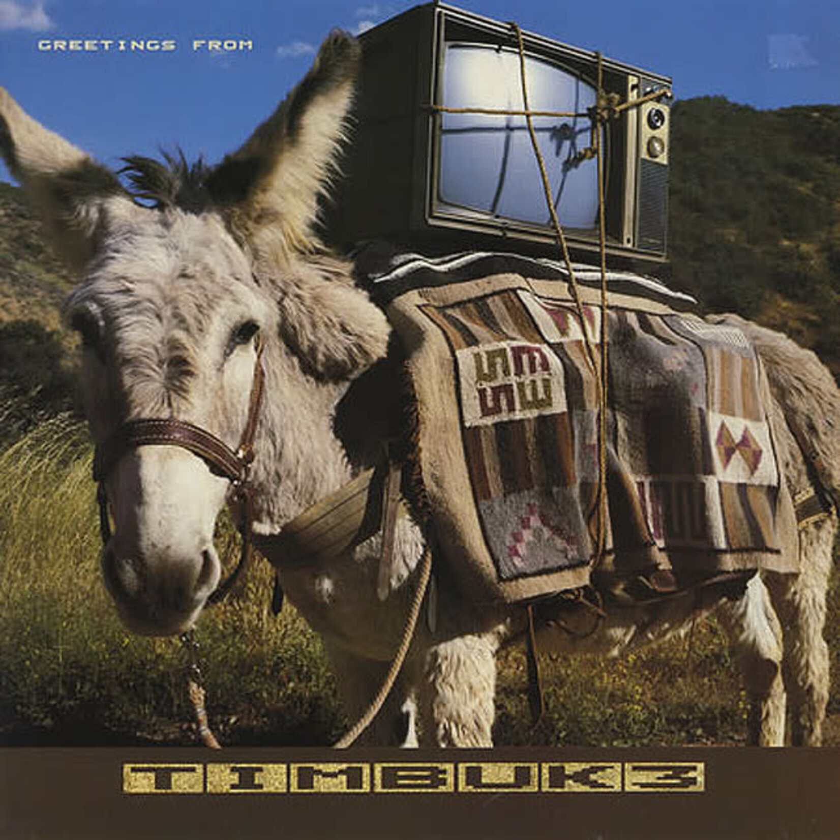 Timbuk 3 - Greetings From Timbuk 3 [USED CD]