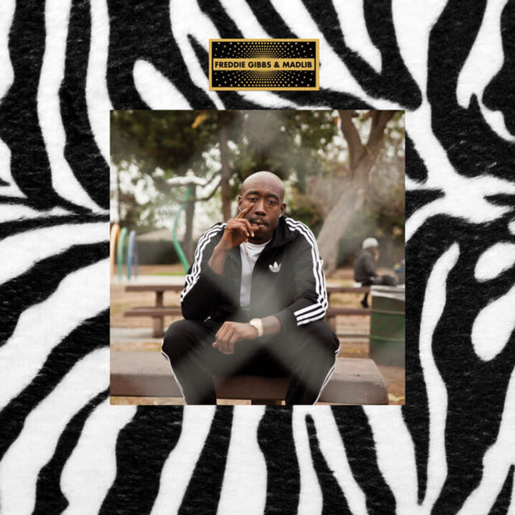 Madlib/Freddie Gibbs - Pinata [CD]