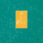 XTC - Skylarking (Steven Wilson Mix) [LP]