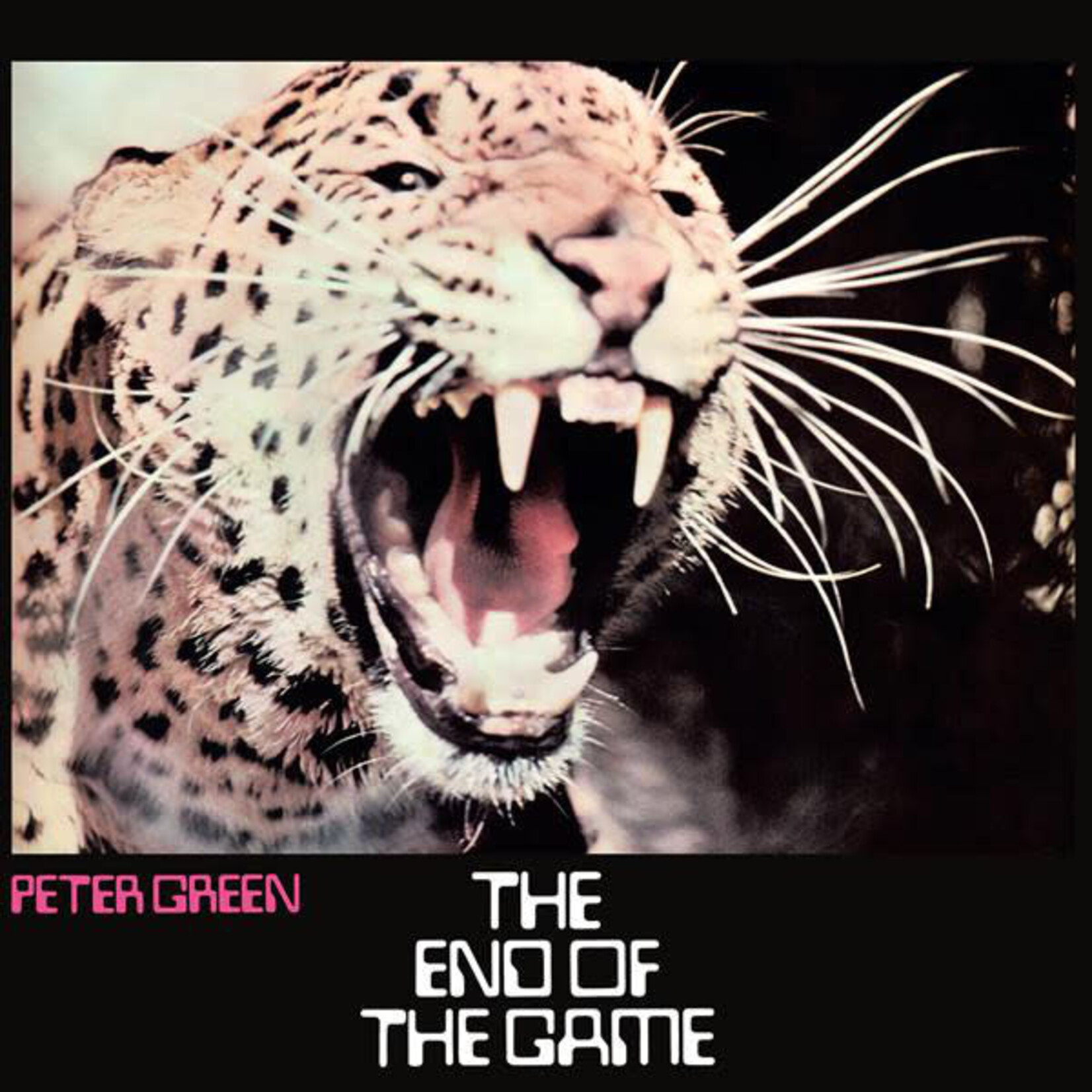 Peter Green - The End Of The Game [USED CD]