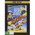 She Wore A Yellow Ribbon (1949) [DVD]