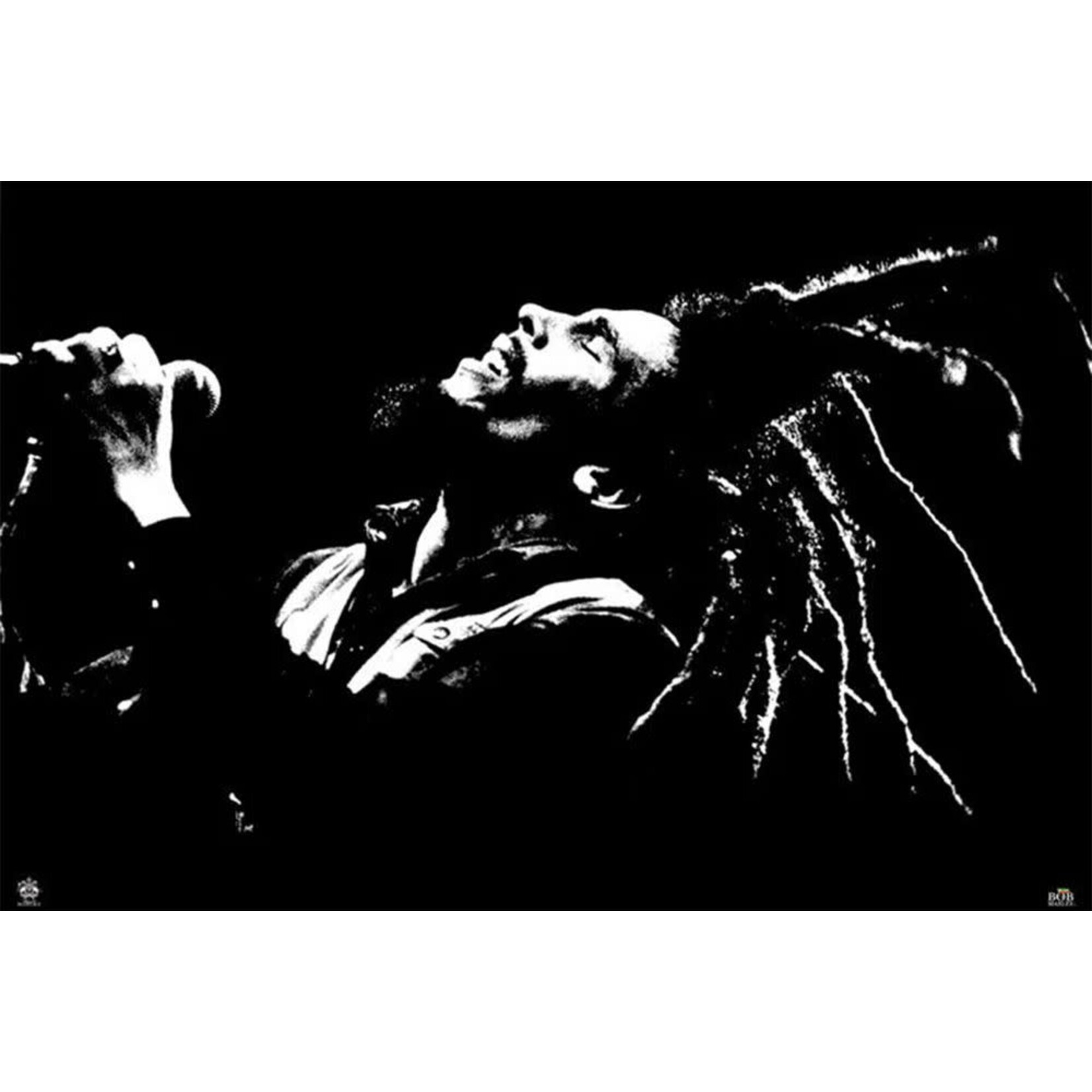 Poster - Bob Marley: Dreads