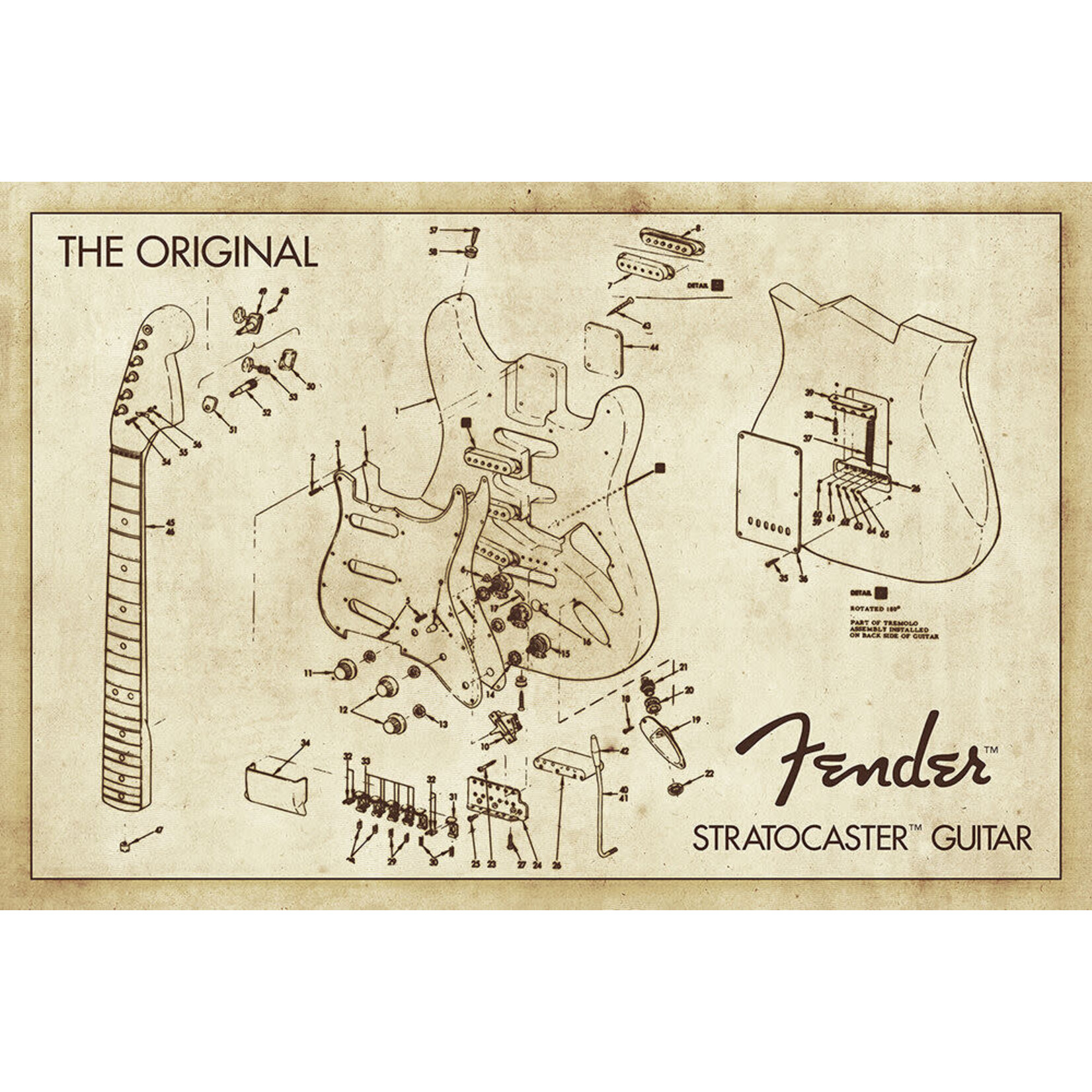 Poster - Fender: Diagram